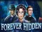 שפּיל Forever Hidden אָנליין