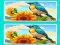 שפּיל Spot the Difference The Garden אָנליין