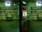 שפּיל Robot Bar Spot the differences אָנליין