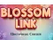 שפּיל Blossom Link אָנליין