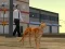 שפּיל Cat City Simulator אָנליין