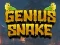 שפּיל Genius Snake אָנליין