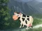 שפּיל Cow Reach the Shed אָנליין