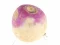 שפּיל Turnip אָנליין