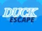 שפּיל Duck Escape אָנליין