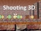 שפּיל Shooting 3D אָנליין