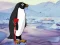 שפּיל Heal the Wounded Penguin אָנליין