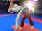 שפּיל Karate Fighter אָנליין