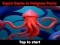 שפּיל Squid Game In Dalgona Panic אָנליין