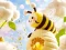 שפּיל Find The Differences: Little Bee's Adventure אָנליין