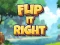 שפּיל Flip It Right אָנליין