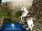 שפּיל Ertugrul Gazi Horse Sim אָנליין