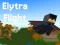 שפּיל Elytra Flight אָנליין