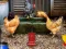 שפּיל Poultry Farm Easter Escape אָנליין