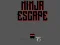 שפּיל Ninja escape אָנליין