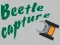 שפּיל Beetle Capture אָנליין