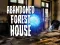 שפּיל Abandoned Forest House אָנליין