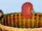שפּיל Harvesting אָנליין