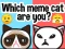 שפּיל Which Meme Cat Are You? אָנליין