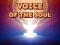 שפּיל Voice Of The Soul אָנליין