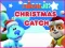 שפּיל Nick Jr. Christmas Catch אָנליין