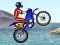 שפּיל FMX team אָנליין