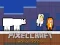 שפּיל PixelCraft Animal School אָנליין