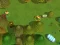 שפּיל Worms Combat Coop אָנליין