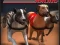 שפּיל Greyhound Racing אָנליין
