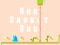 שפּיל Run Rabbit Run אָנליין