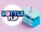 שפּיל Bottle Flip אָנליין