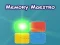 שפּיל Memory Maestro אָנליין