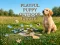 שפּיל Playful Puppy Outdoor Puzzle אָנליין