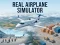 שפּיל Real Airplane Simulator אָנליין