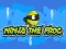 שפּיל Ninja the Frog אָנליין