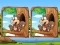 שפּיל Jungle 5 Diffs אָנליין