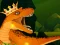 שפּיל The Dino King אָנליין