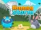 שפּיל Bunny Storm אָנליין