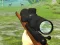 שפּיל Hunter 3D אָנליין