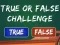 שפּיל  True Or False Challenge אָנליין