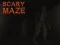 שפּיל Scary Maze אָנליין
