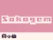 שפּיל Sokogem אָנליין