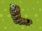 שפּיל Zombie Worms אָנליין