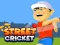 שפּיל Street Cricket אָנליין
