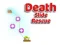 שפּיל Death Slide Rescue אָנליין