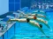 שפּיל Swimming Pool Race אָנליין