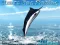 שפּיל Azure Sea Fishing אָנליין