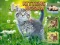 שפּיל Kittens Jigsaw אָנליין