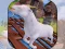 שפּיל Angry Goat Wild Animal Rampage אָנליין