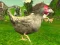 שפּיל Chicken Shooter אָנליין